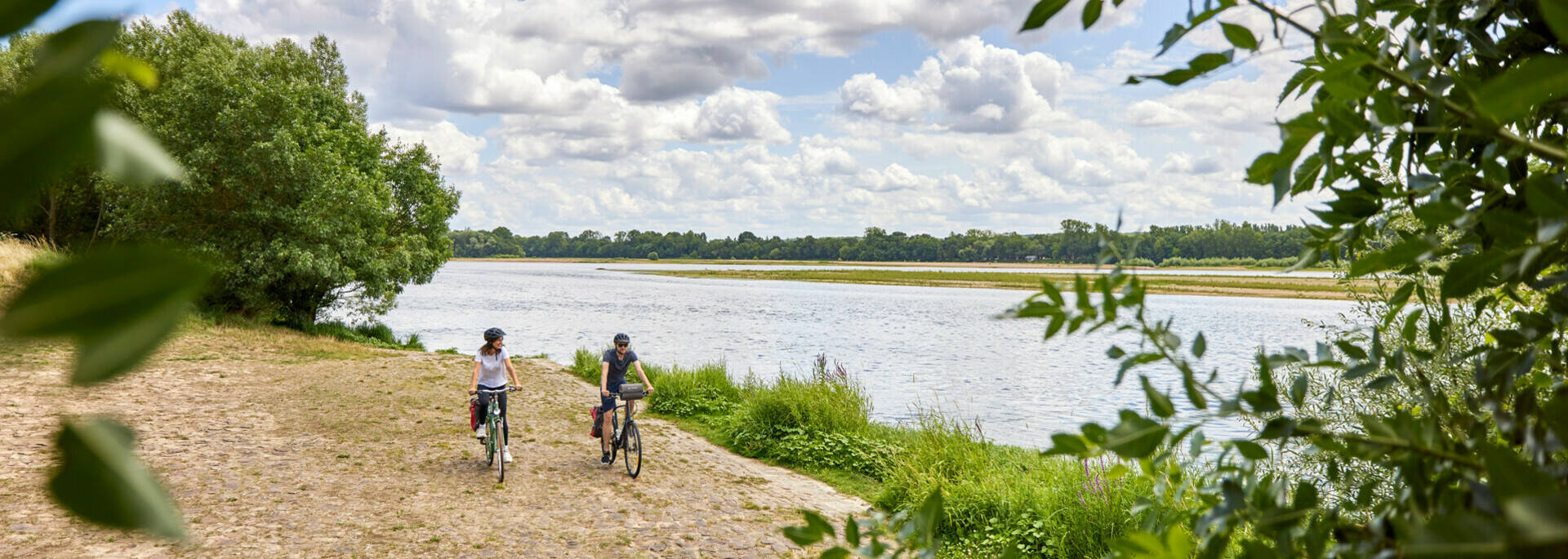 Vélos au bord de la Loire, près de la Daguenière