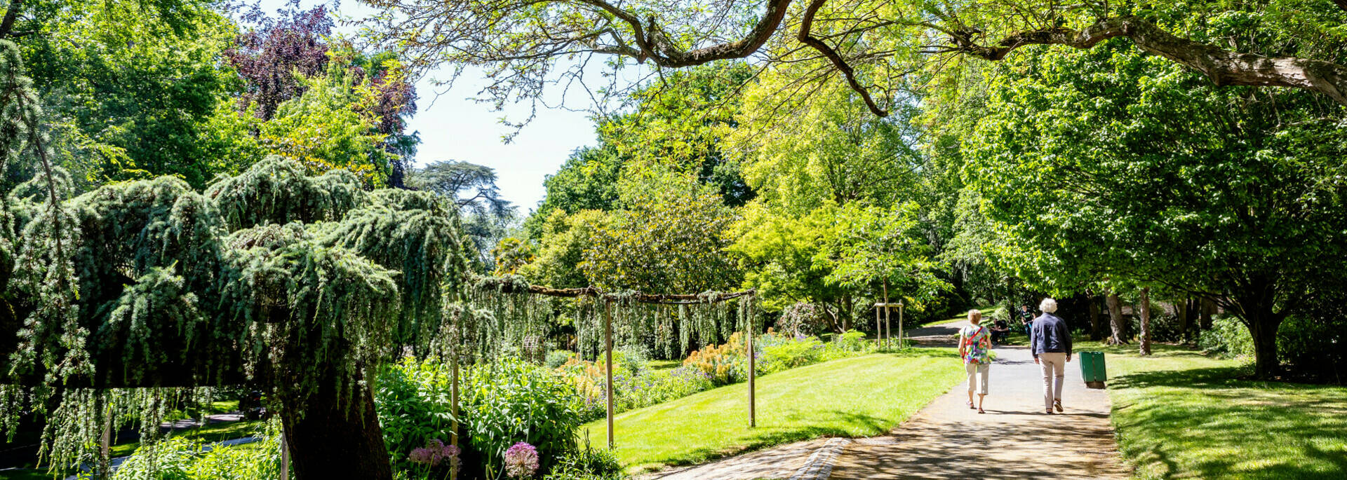 Jardin des plantes