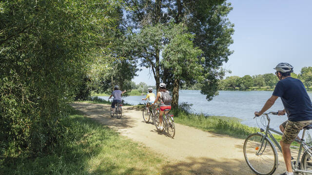 Angers Bike Tour île Saint-Aubin 