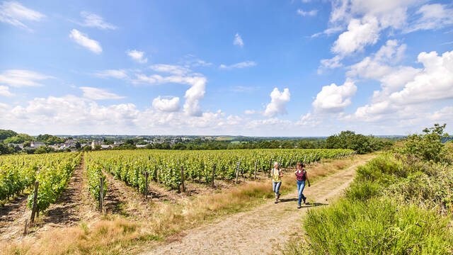 Balade sur la roche des murs