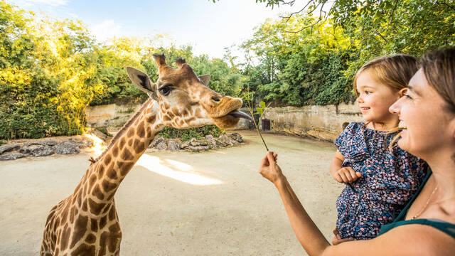 Mère et sa fille devant une girafe