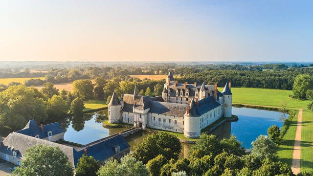 Vue sur le château du Plessis Bourré