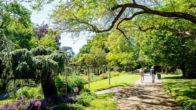 Jardin des plantes