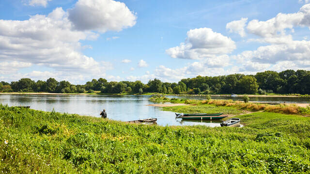 Les bords de Loire, la Pointe