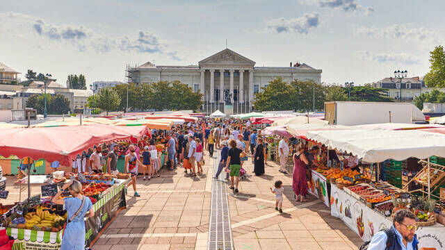 Plan large du marché et de ses étals, place Leclerc, le palais de justice à l'arrière-plan