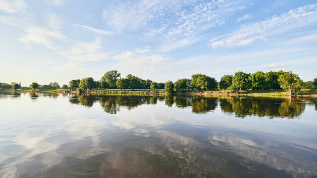 The banks of Loire