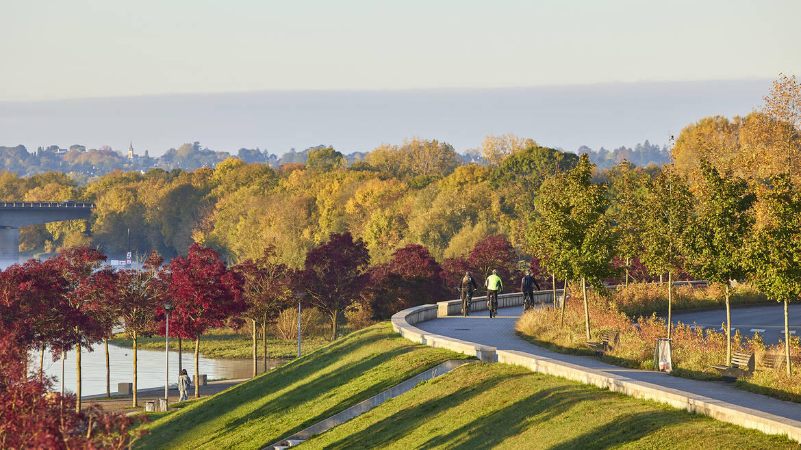 L'automne à Angers, sur les bords de Maine à vélo