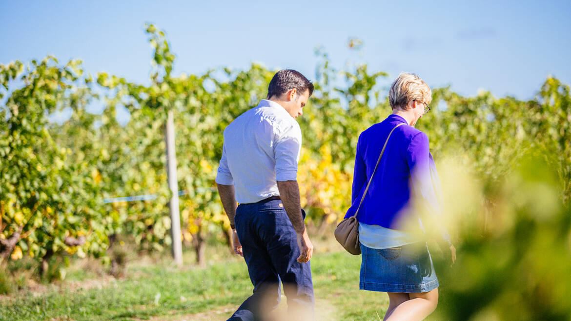 Route des vins de la Loire © Les Conteurs