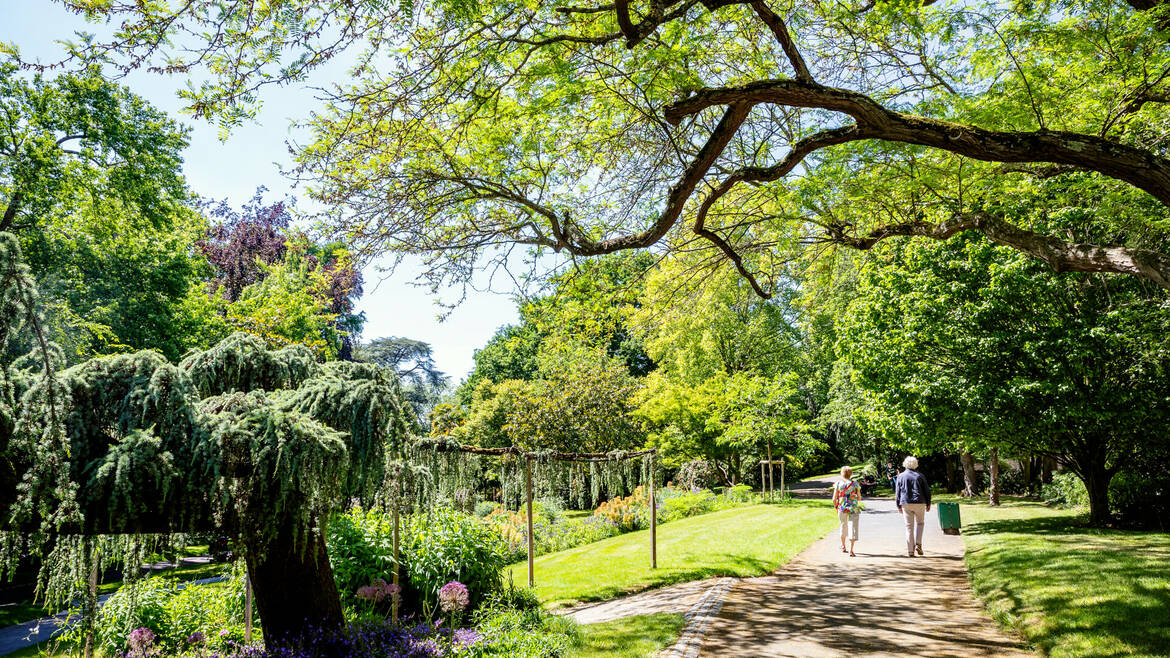 Jardin des plantes