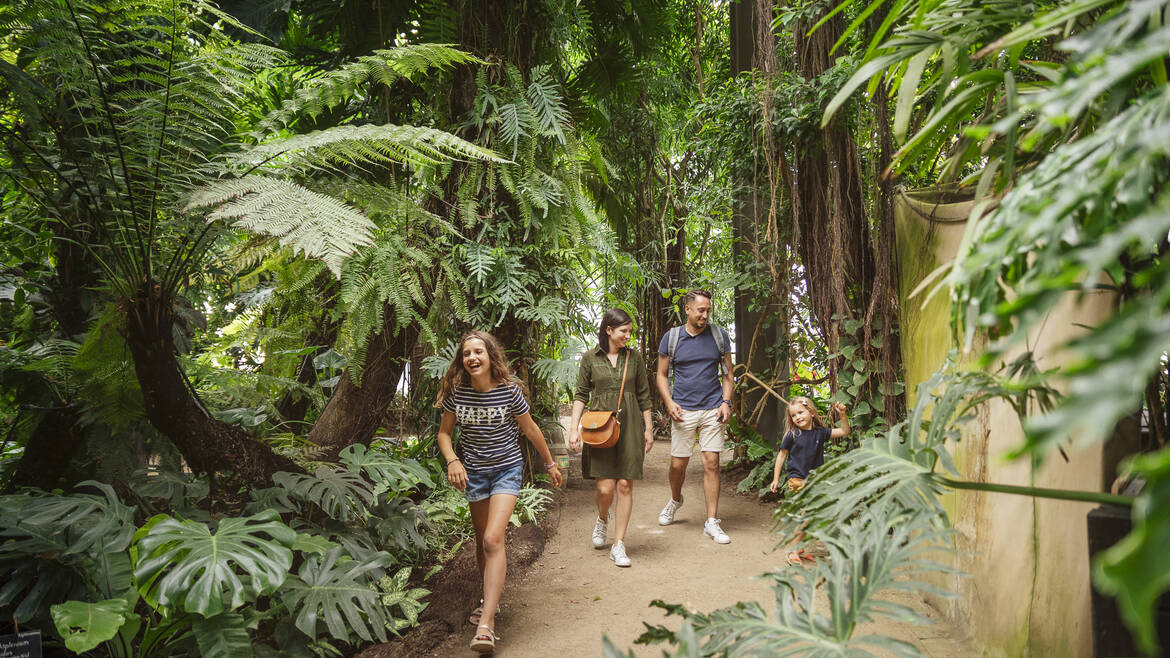 A family walking in the alleys of Terra Botanica