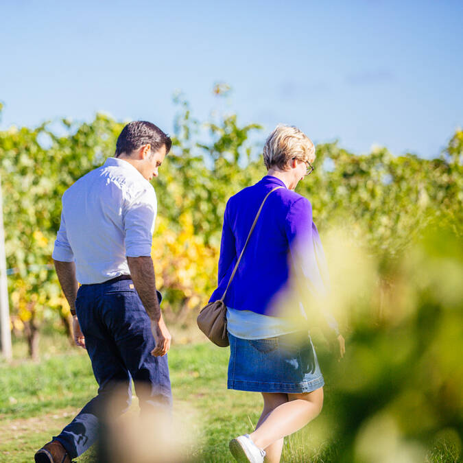 Recorre las rutas del vino del valle del Loira, à Angers © Les Conteurs