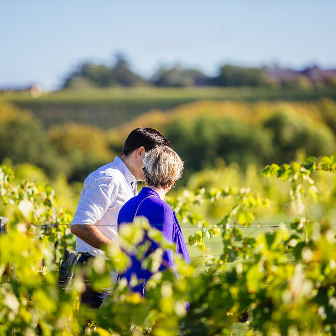 Balade dans les vignes © Les Conteurs